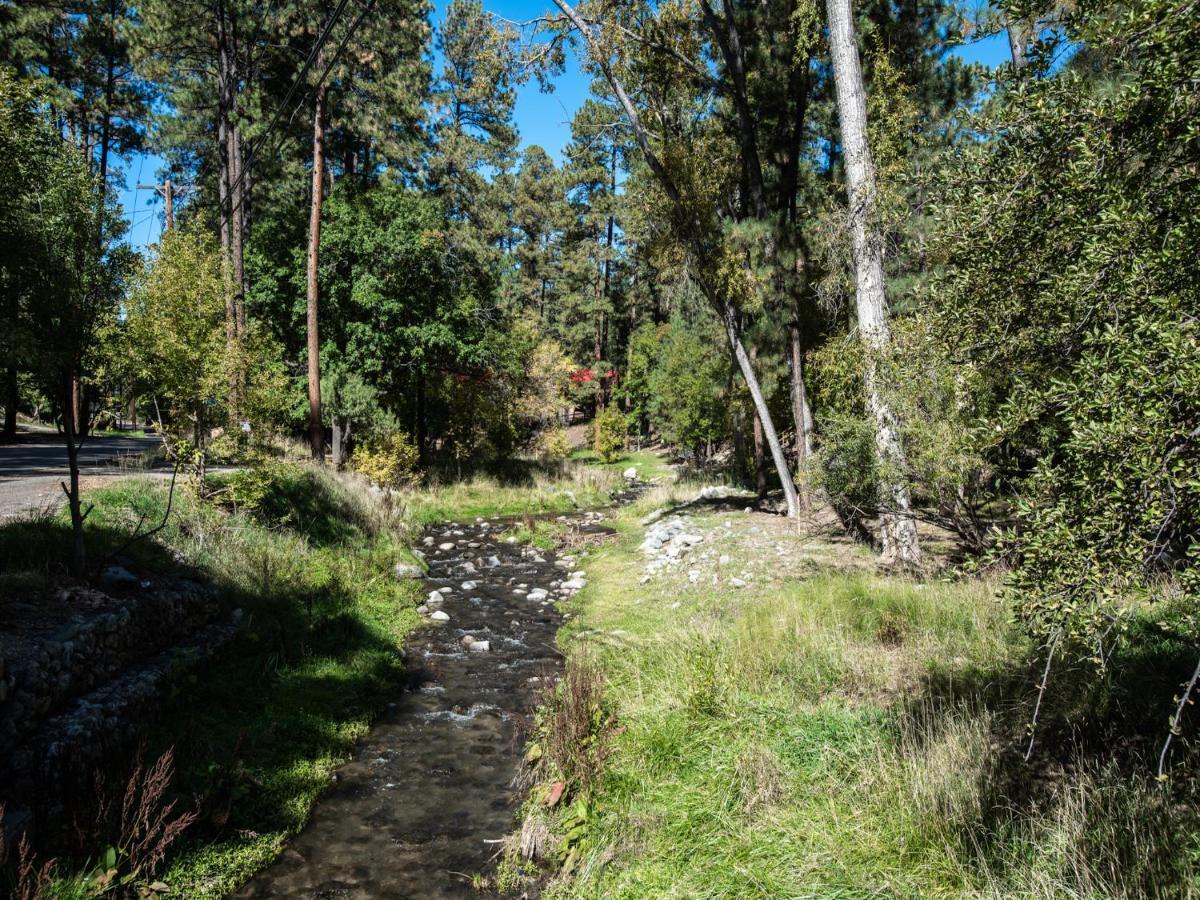 Perfect Cabin, 2 Bedrooms, Fireplace, Midtown, Sleeps 5 Ruidoso Zewnętrze zdjęcie
